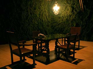 pierreredon_instalation