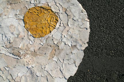 eggdet-sm