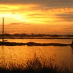 img_5051-s1