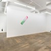 Rooms Provincial Art Gallery Division - Artist Residency 2013 - Newfoundland, Canada (Deadline: Jan 18th, 2013) vierkant_foxyinstall3