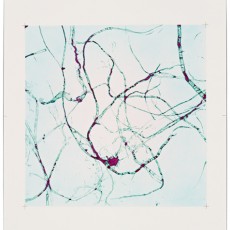X90-446-90-90(A)-P1-T102-D49 - Love in the Early Evening I, 2011-2012