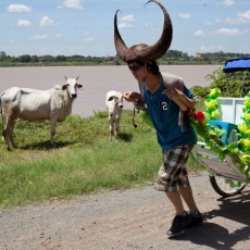Khvay Samnang, Samnang Cow Taxi Moves Sand, Phnom Penh, 2011, Performance, Courtesy of the Artist