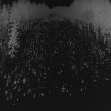negativ